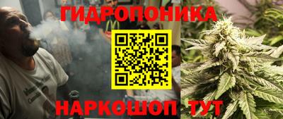 PSILOCYBIN Туймазы