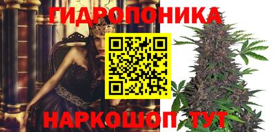 дживик Тула