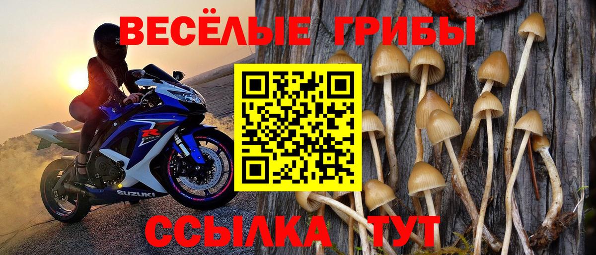 Назарово  Псилоцибиновые грибы прущие грибы  Вход с VPN 