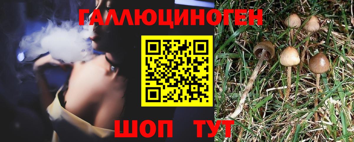 Псилоцибиновые грибы Psilocybe Назарово